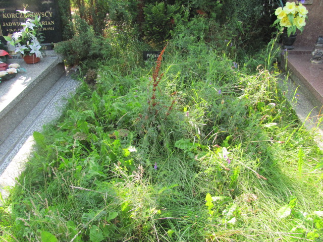 Grób Jadwiga Ekiert