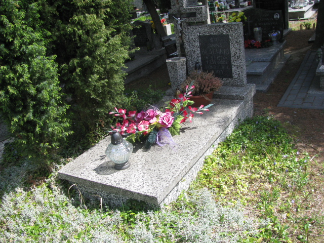 Grób Janina Błachnio