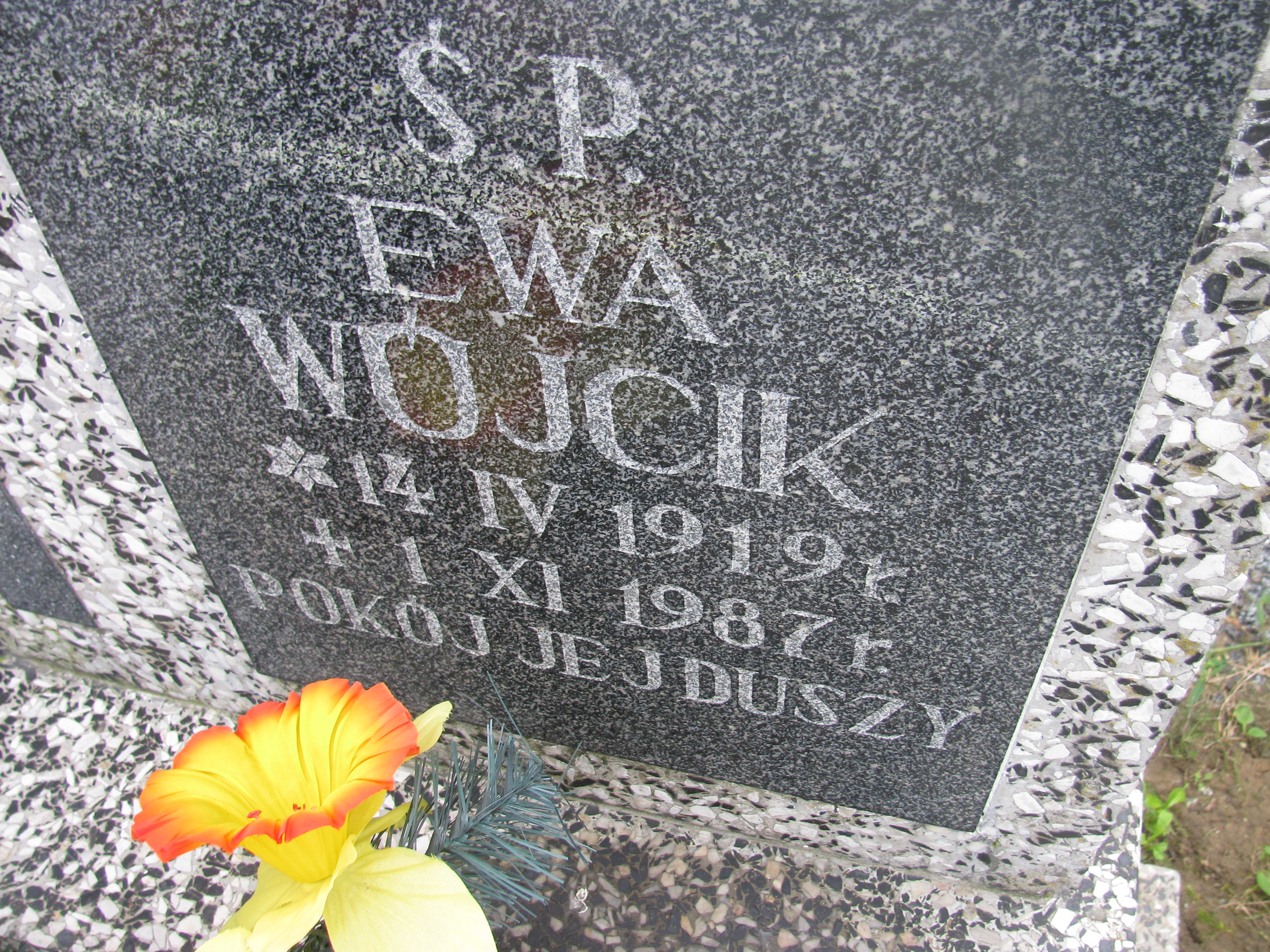 Ewa Wójcik 1919 Dzierżoniów - Grobonet - Wyszukiwarka osób pochowanych