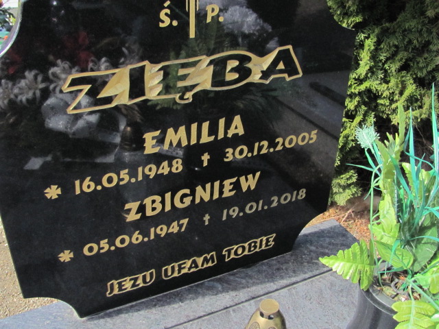 Emilia Zięba 1948 Dzierżoniów - Grobonet - Wyszukiwarka osób pochowanych