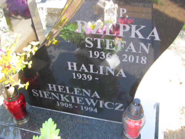 Stefan Jerzy Rzepka 1936 Dzierżoniów - Grobonet - Wyszukiwarka osób pochowanych