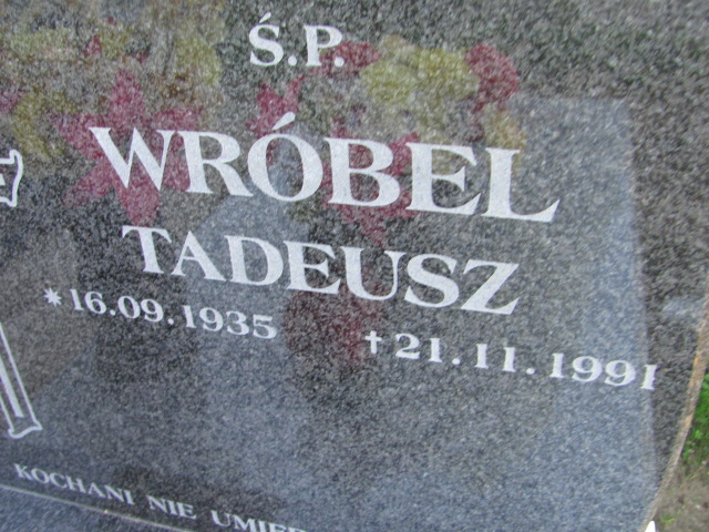 Tadeusz Wróbel 1935 Dzierżoniów - Grobonet - Wyszukiwarka osób pochowanych