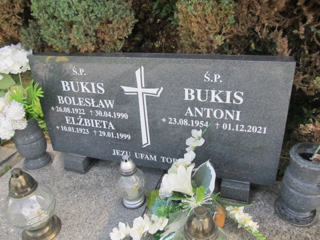 Elżbieta Bukis 1923 Dzierżoniów - Grobonet - Wyszukiwarka osób pochowanych