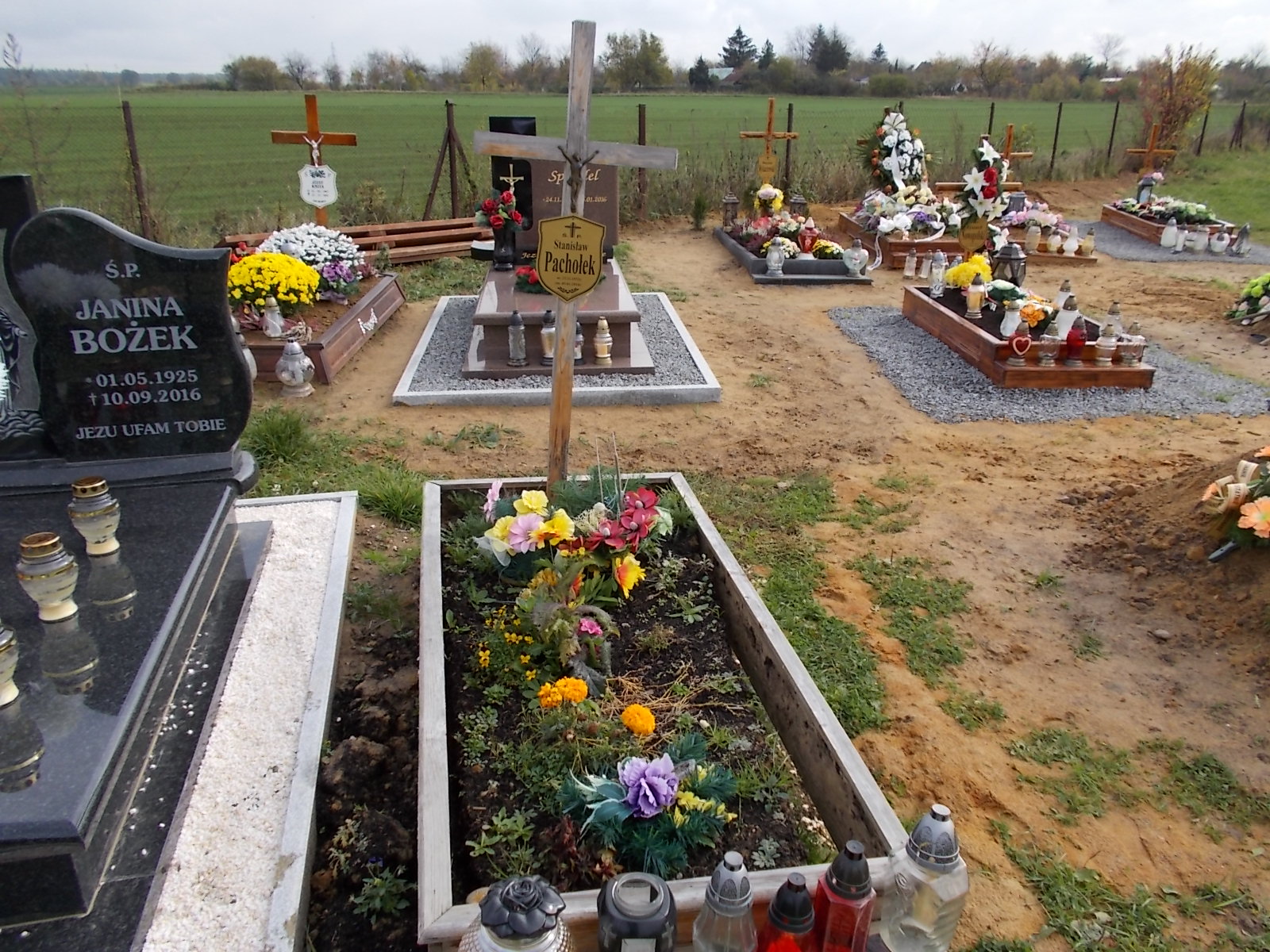 Grób Stanisław Pachołek