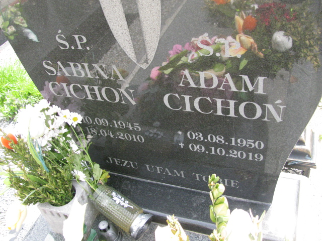 Adam Cichoń 1950 Dzierżoniów - Grobonet - Wyszukiwarka osób pochowanych
